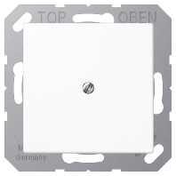 A590BFASWM - Basic element with central cover plate A590BFASWM