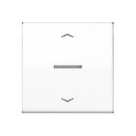 BT AS 17101 P WW - Intelligent control element white BT AS 17101 P WW