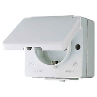 620WEINS (20 Stück) - Socket outlet protective contact grey 620WEINS