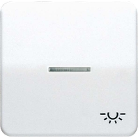 CD 590 KO5L LG - Cover plate for switch/push button grey CD 590 KO5L LG