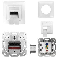 ESN 100 - 2x RJ45 8(8) Data outlet 6A (IEC) white ESN 100