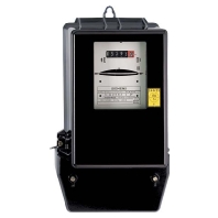 10022134 - Direct kilowatt-hour meter 10022134