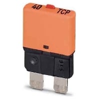 TCP 40/DC32V (50 Stück) - MCB terminal block 40A 6mm TCP 40/DC32V