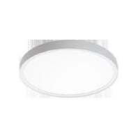 606009 - Ceiling-/wall luminaire 1x36W 606009