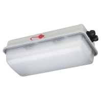 e856F L05/1/1,6 - Ex-proof emergency/security luminaire e856F L05/1/1,6