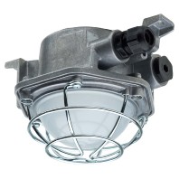 e9312F SK - Explosion proof luminaire fixed mounting e9312F SK