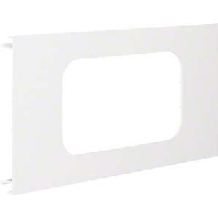 L 9612 rws - Face plate for device mount wireway L 9612 rws