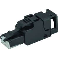 J00026A3000 (10 Stück) - Modular plug J00026A3000