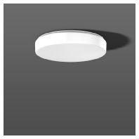 312242.002.4 - Ceiling-/wall luminaire 1x27W 312242.002.4