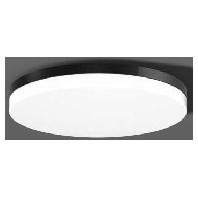 312174.0031.1.76 - Ceiling-/wall luminaire 1x31W 312174.0031.1.76