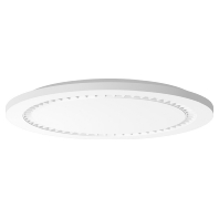 312186.002.1 - Ceiling-/wall luminaire 1x25W 312186.002.1