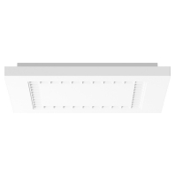 312187.002.1 - Ceiling-/wall luminaire 1x12W 312187.002.1