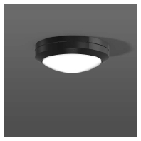 582000.0031 - Ceiling-/wall luminaire 1x57W 582000.0031