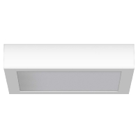 672277.002.1 - Emergency luminaire 24W IP40 3h 672277.002.1