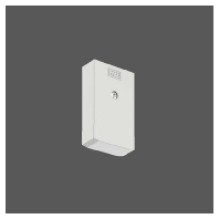 982701.009 - End cap for luminaires 982701.009