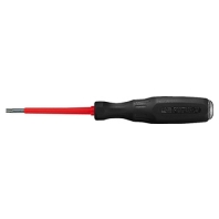 101536 - Torx screwdriver 1307025 T25x75, 101536 - Promotional item