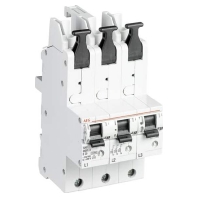 2CDS781055R4632 - Main circuit breaker HS91.3E63SAV SHU 25kA E63A 3x1pol., 2CDS781055R4632 - Promotional item