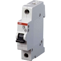 S201-C40 - Miniature circuit breaker 1-p C40A S201-C40