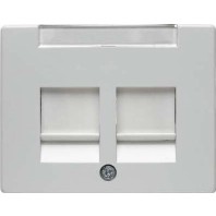 11820069 - Central cover plate Modular Jack 11820069