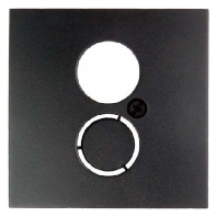 11961606 - Central cover plate 11961606