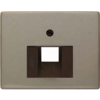 14080001 - Central cover plate UAE/IAE (ISDN) 14080001