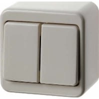 300540 - Series switch surface mounted white 300540