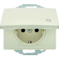 47470002 - Socket outlet (receptacle) 47470002