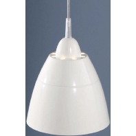 21294 - Pendant luminaire 1x42W CFL 21294