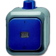 2601/2 WDI - 2-pole switch surface mounted blue 2601/2 WDI