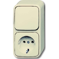 2601/6/2300 EAP - Combination switch/wall socket outlet 2601/6/2300 EAP