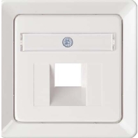 206524 - Central cover plate UAE/IAE (ISDN) 206524