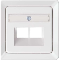 206530 - Central cover plate UAE/IAE (ISDN) 206530