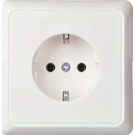 245004 - Socket outlet (receptacle) 245004