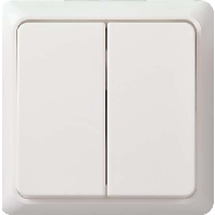 501500 - Series switch surface mounted 501500