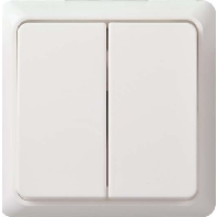 501504 - Series switch surface mounted white 501504