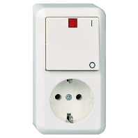 388204 - Combination switch/wall socket outlet 388204