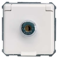 225060 - Socket outlet (receptacle) 225060