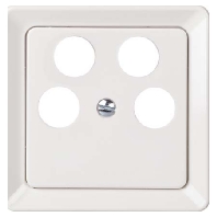 206050 - Central cover plate 206050