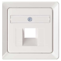 206520 - Central cover plate UAE/IAE (ISDN) 206520