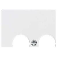 206914 - Central cover plate 206914