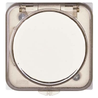 363404 - Cover plate for time switch white 363404