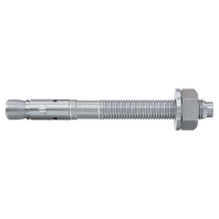 FBZ 12/10 (20 Stück) - Anchor bolt M12x110mm FBZ 12/10