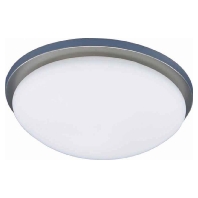 29151 - Ceiling-/wall luminaire 1x60W 29151