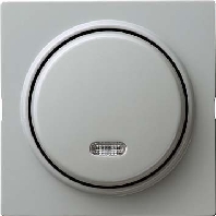 015342 - Push button 1 make contact (NO) grey 015342