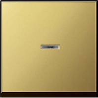 0290604 - Cover plate for switch/push button brass 0290604