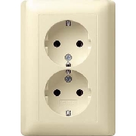 078001 - Socket outlet (receptacle) 078001