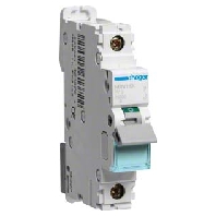 NBN113 - Miniature circuit breaker 1-p B13A NBN113