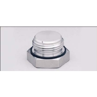 E30064 - Threaded plug E30064