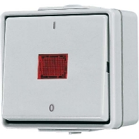 602 KOW - 2-pole switch surface mounted grey 602 KOW