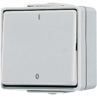 602 W - 2-pole switch surface mounted grey 602 W